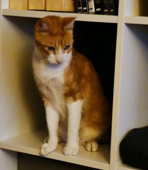 Charly Bild von Charly