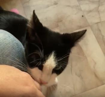 Feli Bild von Feli