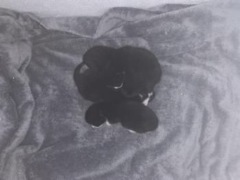 Feli Bild von Feli