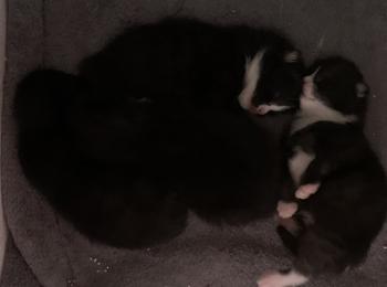 Feli Bild von Feli