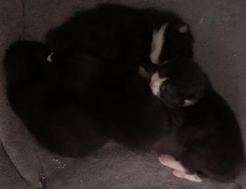 Feli Bild von Feli