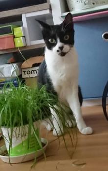 Bascha Bild von Bascha