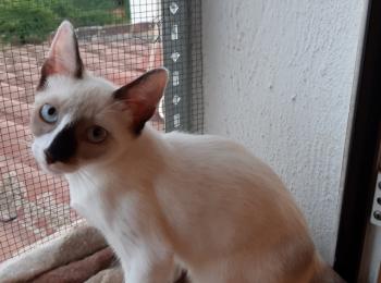 Mausi Bild von Mausi