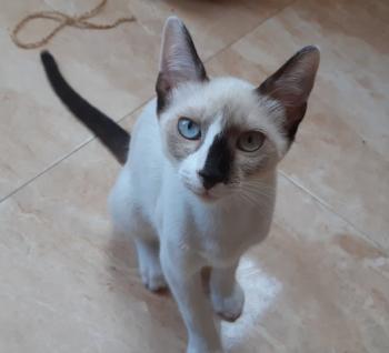 Mausi Bild von Mausi