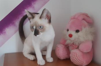 Mausi Bild von Mausi