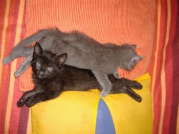 Lia Bild von Lia