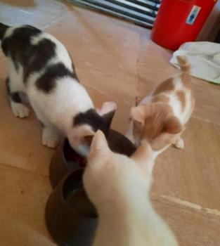 Finbar Bild von Finbar
