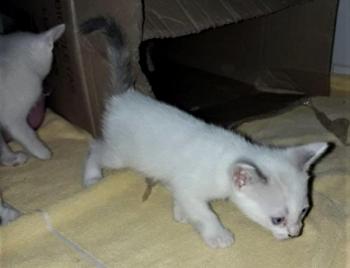 Finbar Bild von Finbar