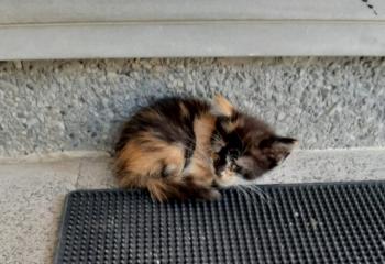 Lola Bild von Lola