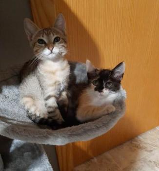 Lola Bild von Lola