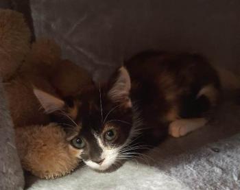 Lola Bild von Lola