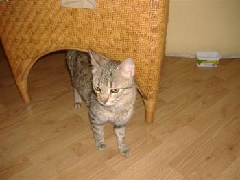 Galita Bild von Galita