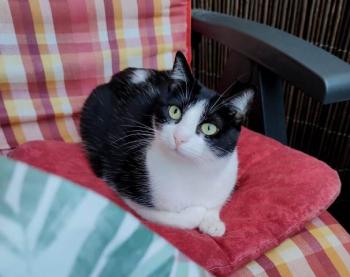 Afra Bild von Afra