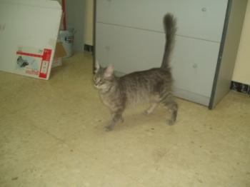 Troya Bild von Troya