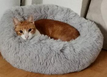 Charly Bild von Charly