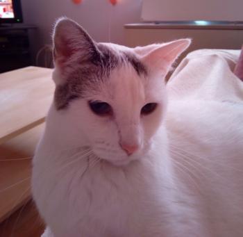Desirée Bild von Desirée