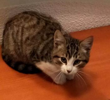 ohne Namen 8615 Bild von Kenay