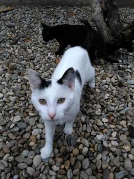 Carla Bild von Carla