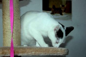 Carla Bild von Carla