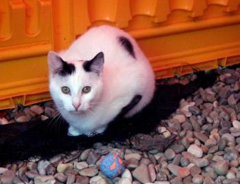 Carla Bild von Carla