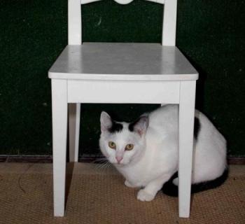 Carla Bild von Carla