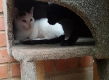 Carla Bild von Carla