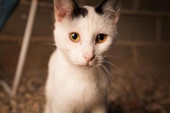 Carla Bild von Carla