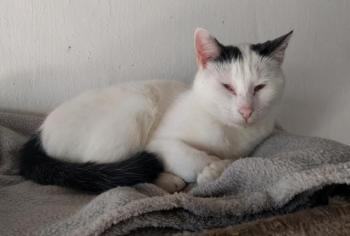 Carla Bild von Carla