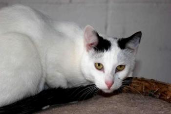 Carla Bild von Carla