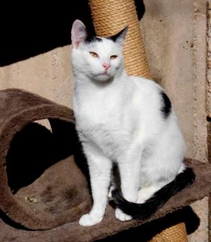 Carla Bild von Carla