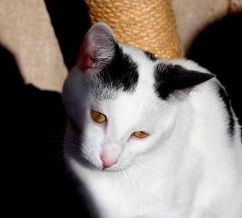 Carla Bild von Carla
