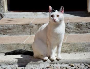 Carla Bild von Carla