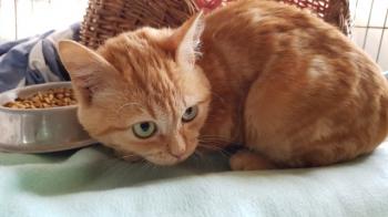 Nino Bild von Nino
