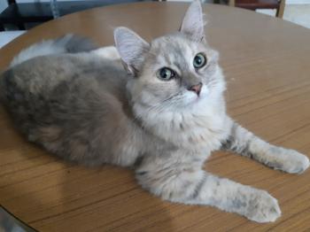 Bild von Matilda