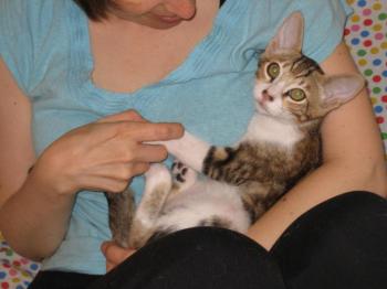 Hansel Bild von Hansel