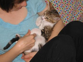 Hansel Bild von Hansel