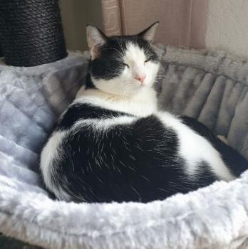 Fuente Bild von Fuente