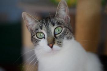 Milana Bild von Milana