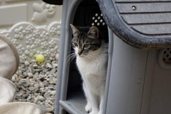 Milana Bild von Milana