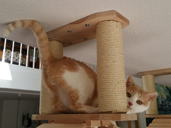 Filomeno Bild von Filomeno