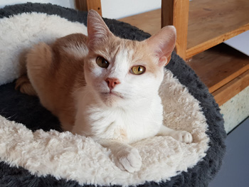 Filomeno Bild von Filomeno