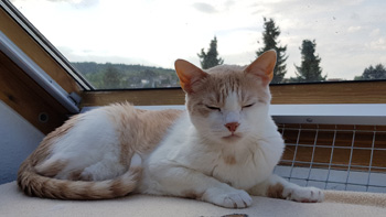 Filomeno Bild von Filomeno