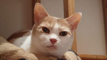 Filomeno Bild von Filomeno