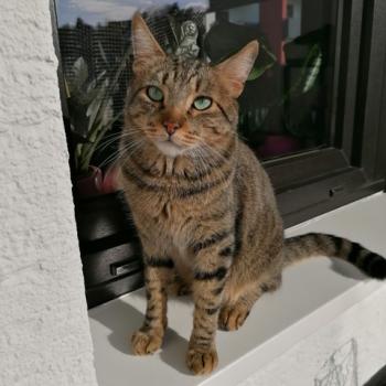 Kiko Bild von Kiko