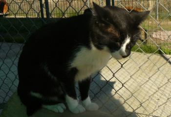 Alfred Bild von Alfred