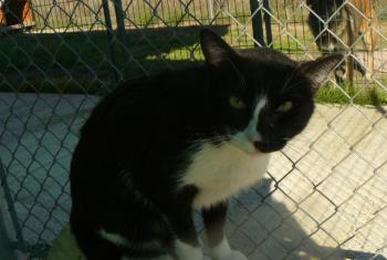 Alfred Bild von Alfred