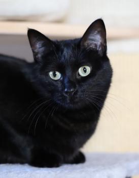 Coco Bild von Coco