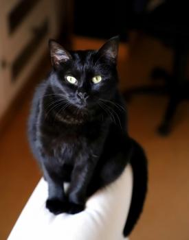 Coco Bild von Coco