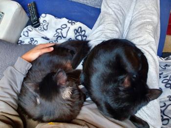 Coco Bild von Coco