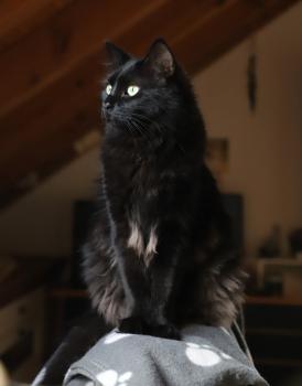 Junior Bild von Junior